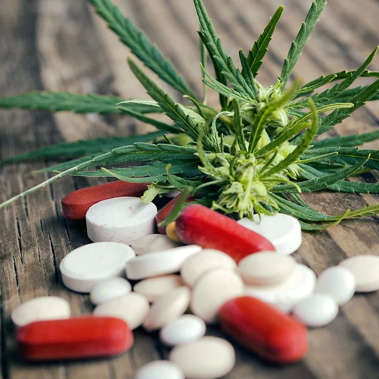 Cannabis With Opioids for Pain Control