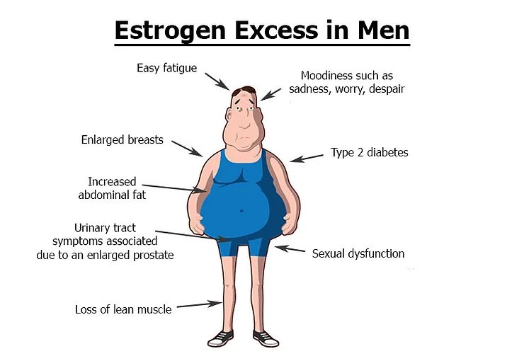 Estrogen Excess in Men