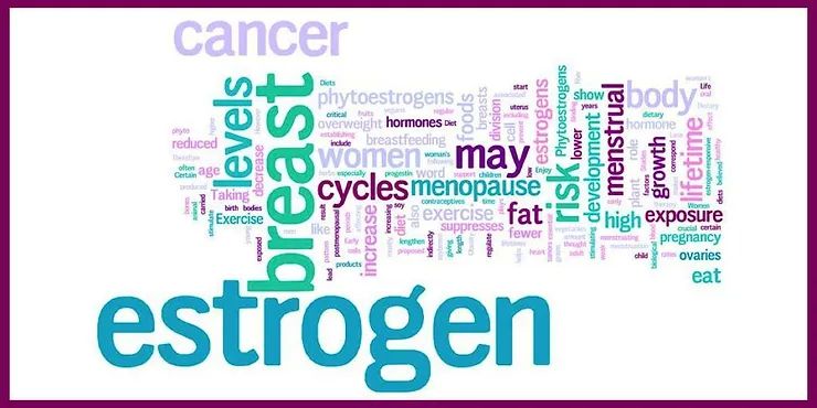 Natural (Not Synthetic) Estrogen Health Benefits in Menopause