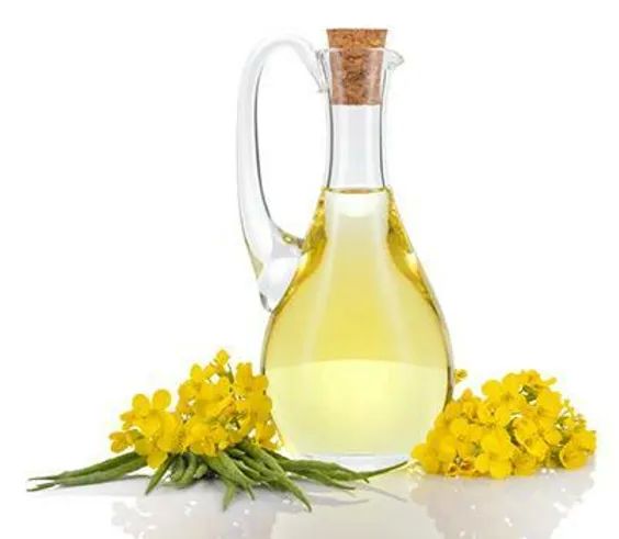 Beware of Vegetable Oils Such as Canola Oil