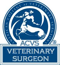 board certified veterinary surgeon