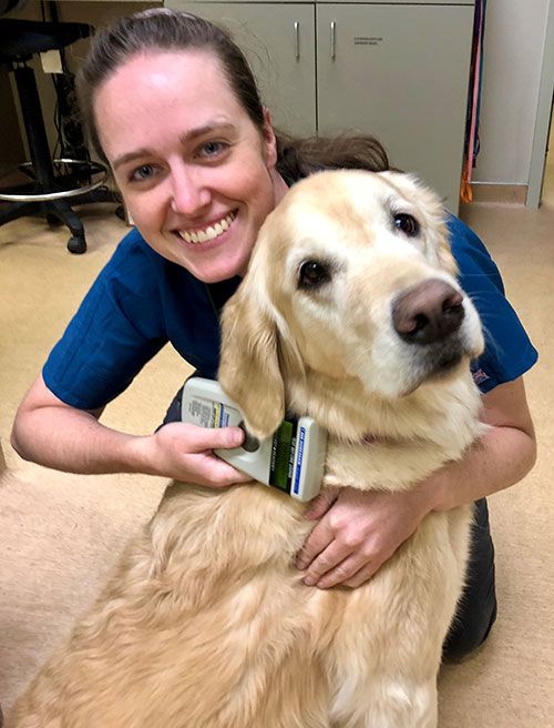 microchipping promo
