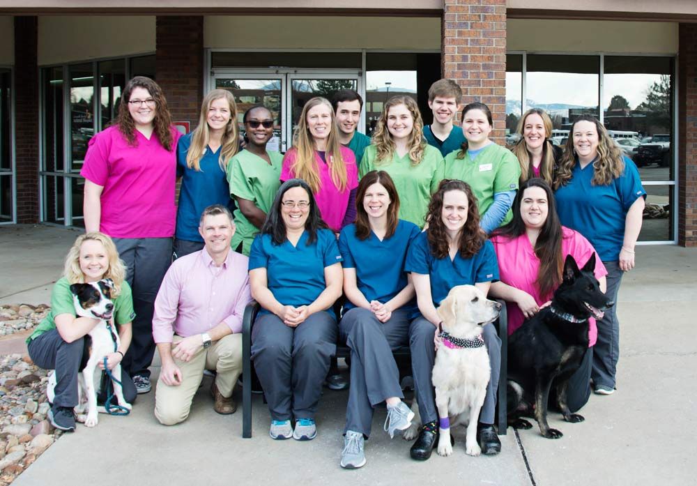 louisville family animal hospital team
