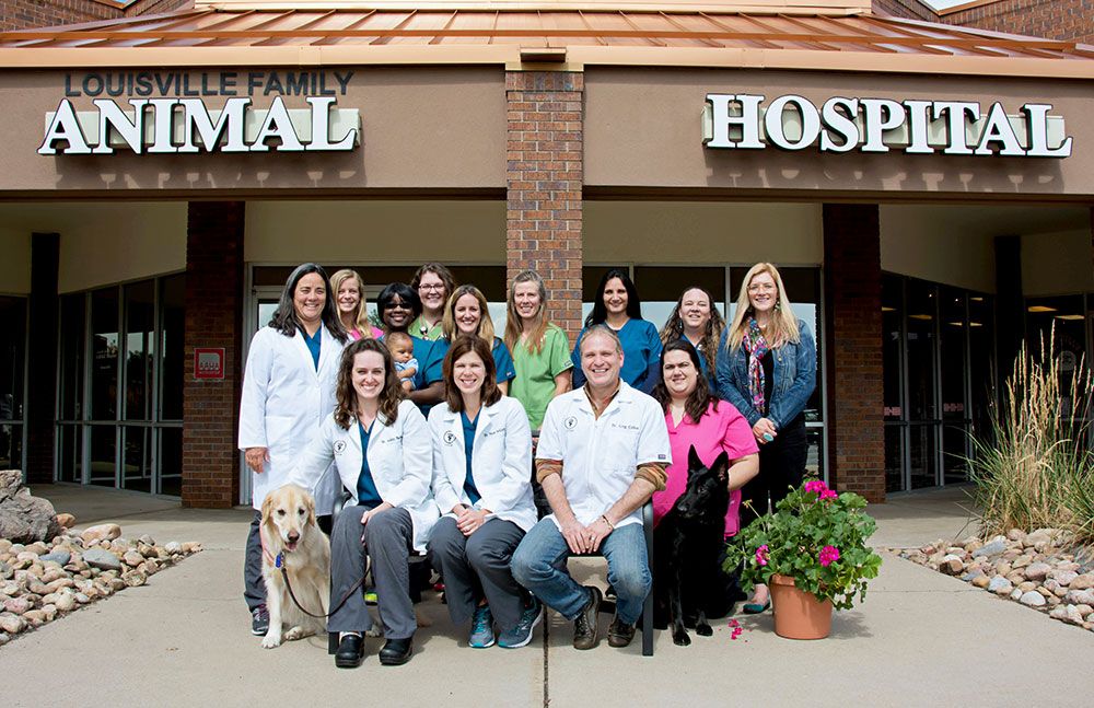 louisville family animal hospital team