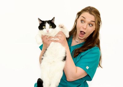 louisville family animal hospital team