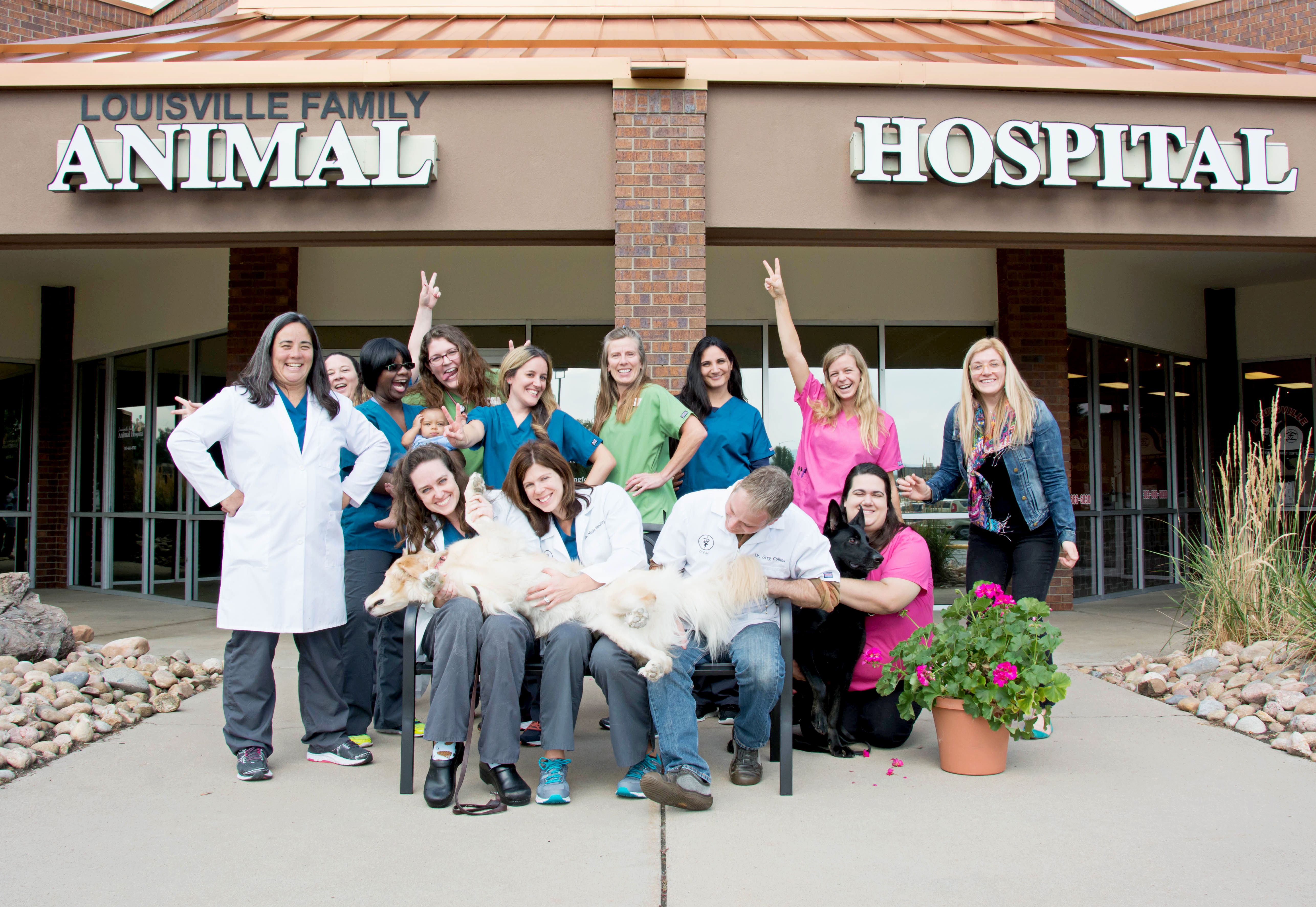 louisville family animal hospital team