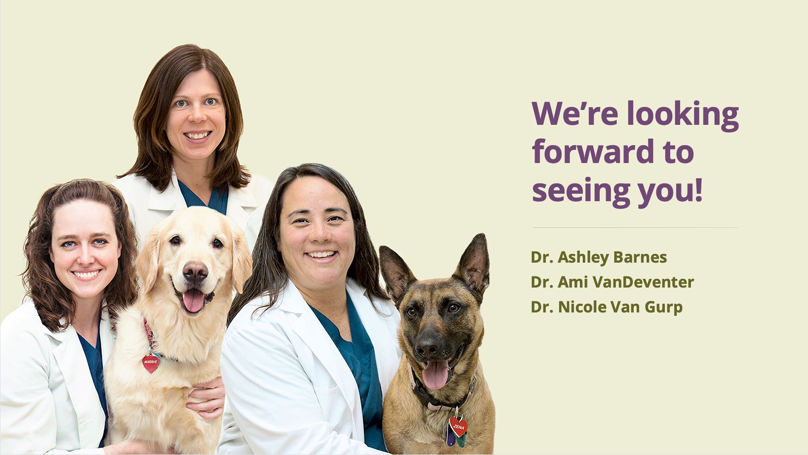 louisville family animal hospital team