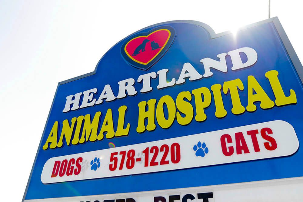heartland animal clinic