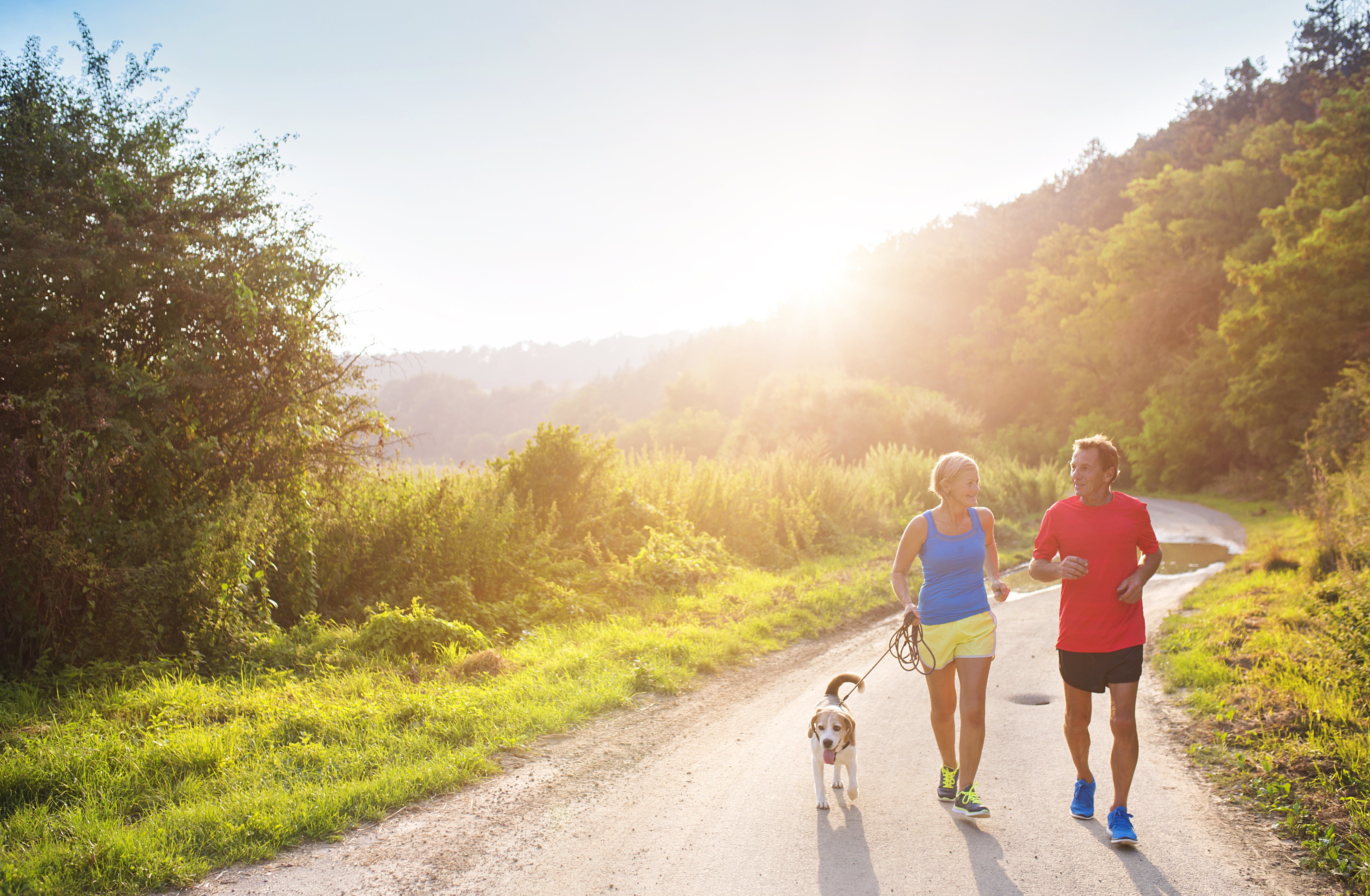 How hot is too hot to run with a dog