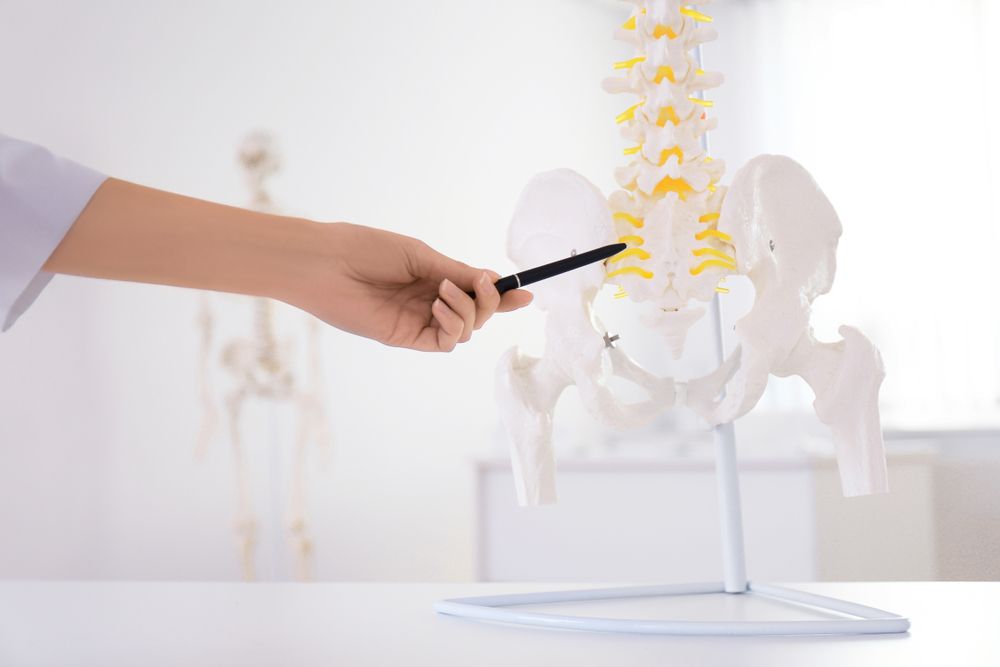 The Role of Chiropractic in Managing Chronic Pelvic Pain