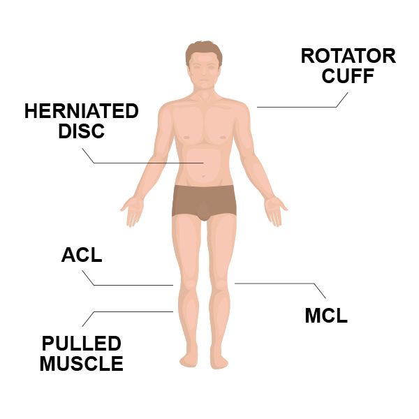 spine treatments anatomy