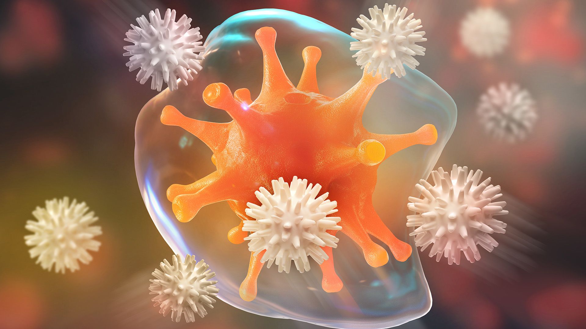 Immune System Evaluation Panels