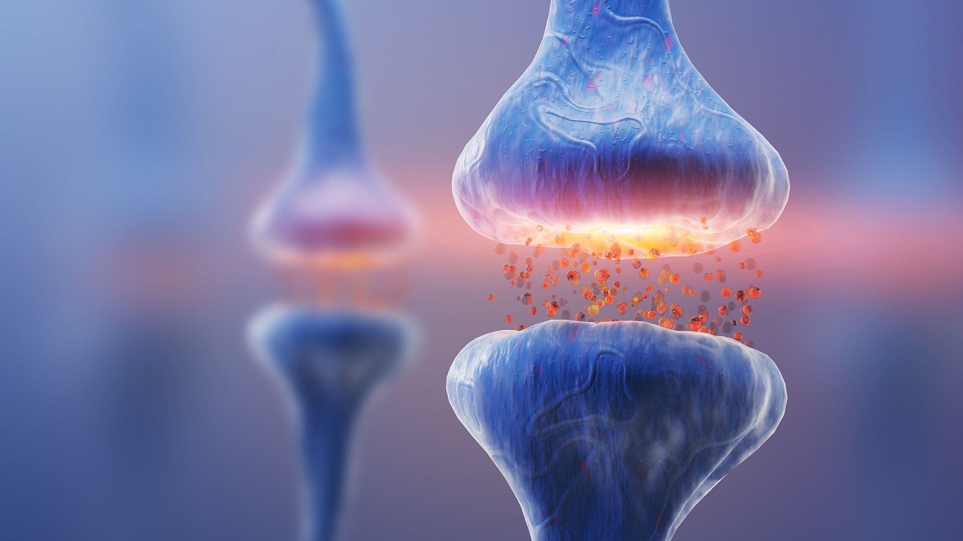 Neurotransmitter Analysis