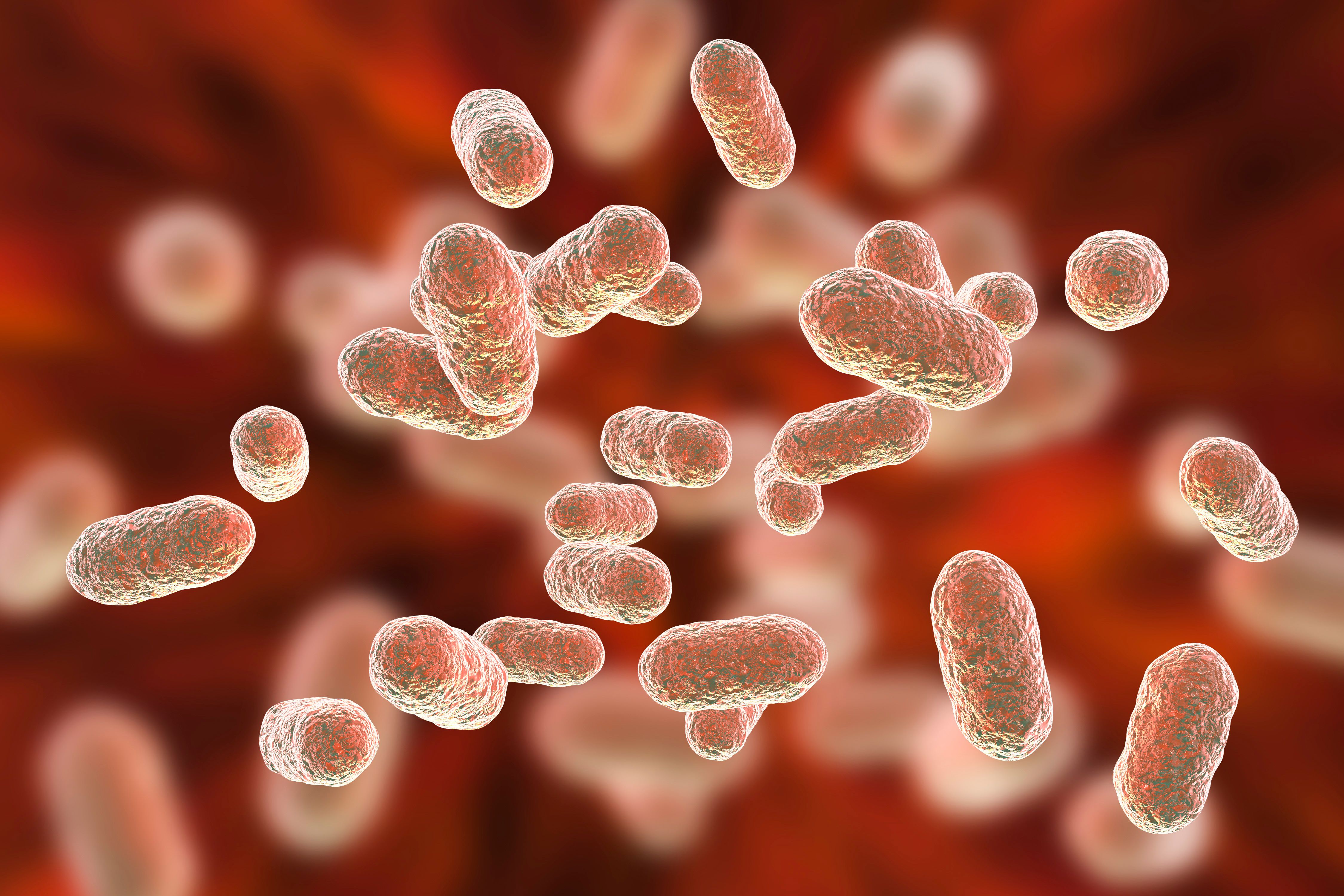 Vaginosis and Pap Testing