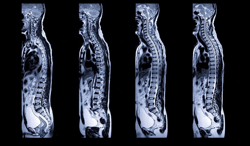 Nervous System-Centered Care