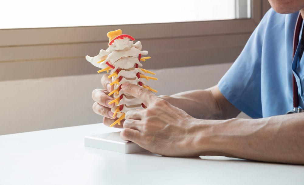 Unraveling the Science Behind Chiropractic Care in Keller, TX