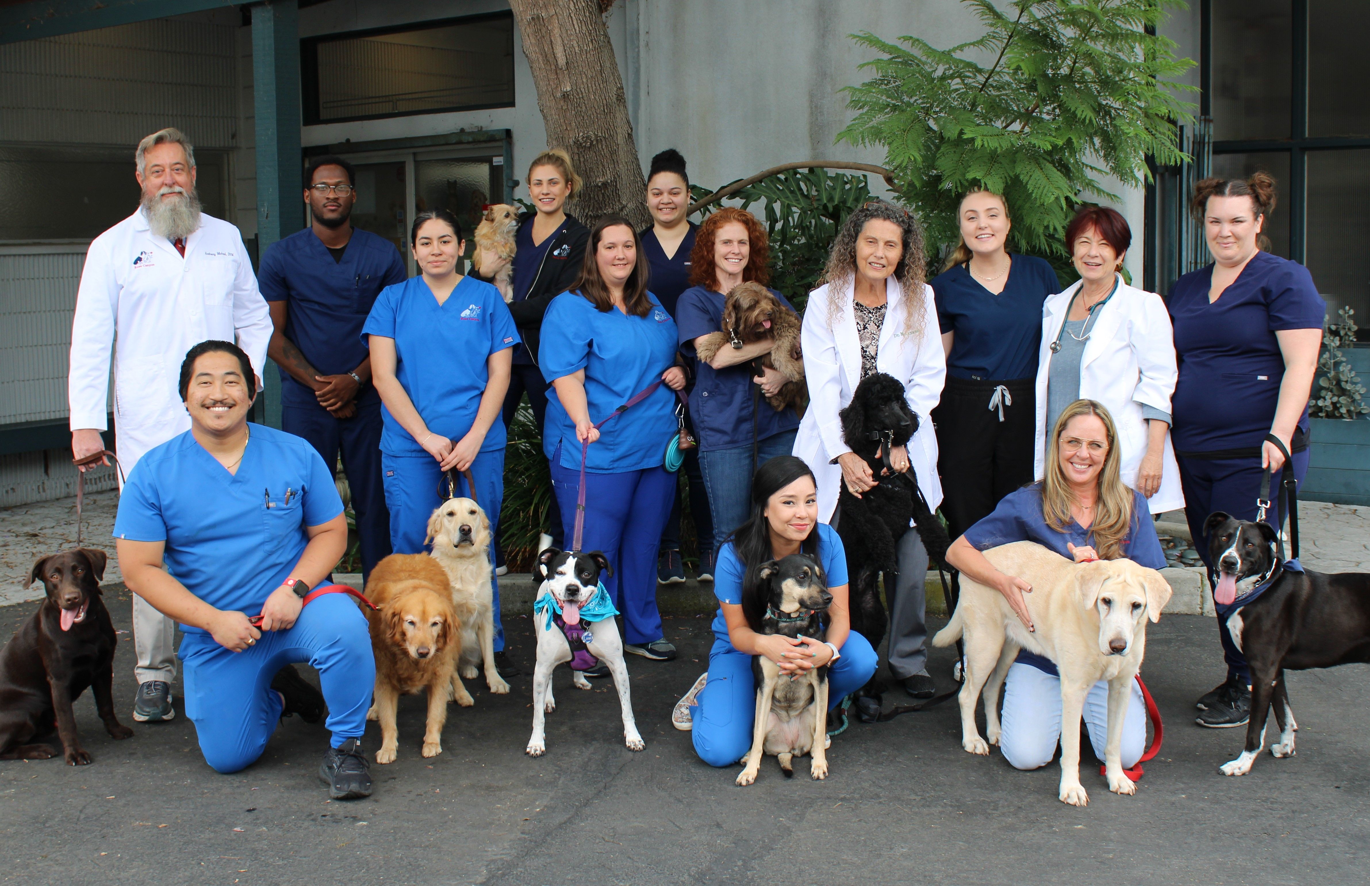 Rose Canyon Animal Hospital team