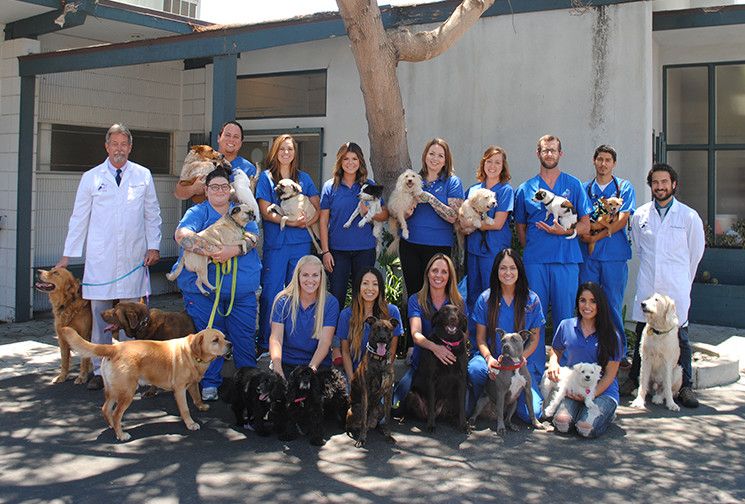 Rose Canyon Animal Hospital team