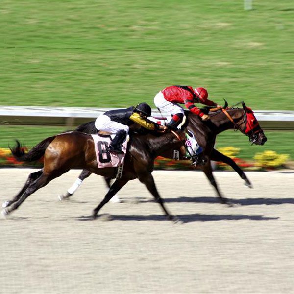 Del Mar