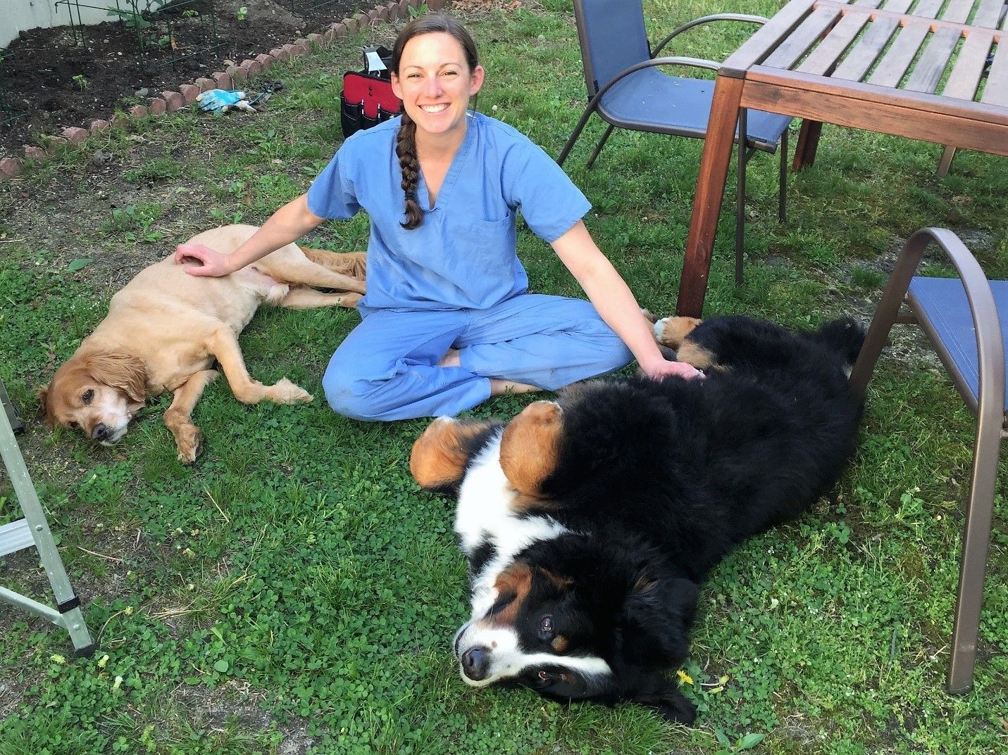 About Massapequa Pet Vet Pet Vet Hospital