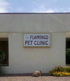 Flamingo Pet Clinic