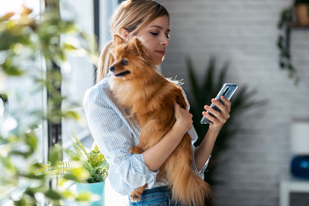The Importance of Having a Pet Emergency Plan in Place