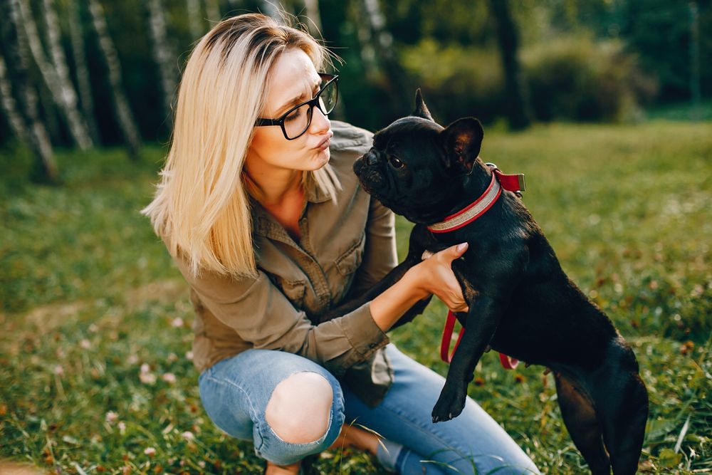 Top Grooming Tips to Keep Your Dog Healthy During the Cold, Wet Months