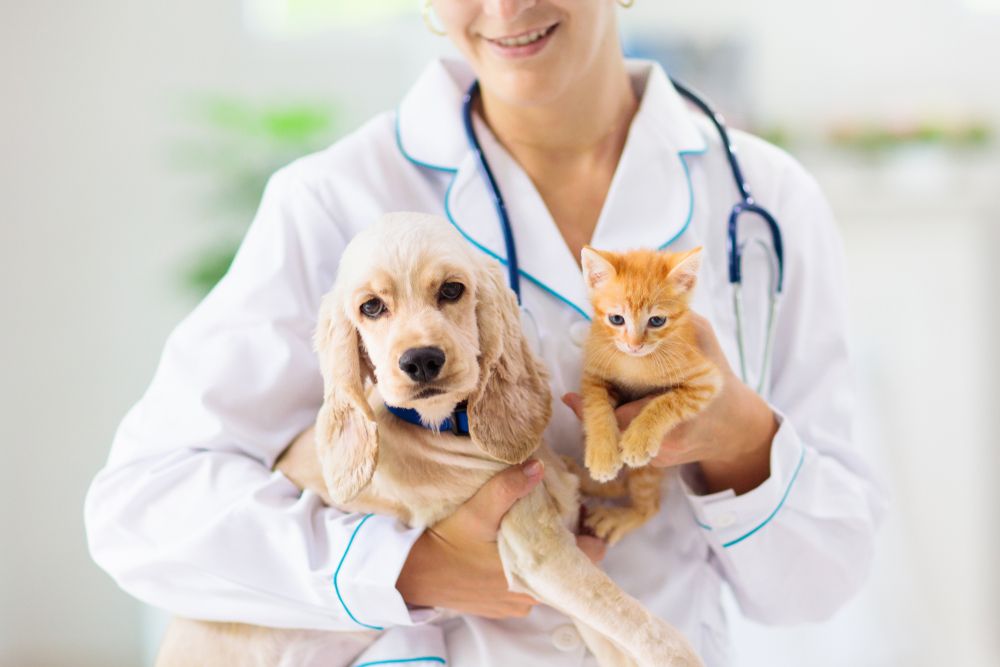 The Importance of Pet Vaccinations