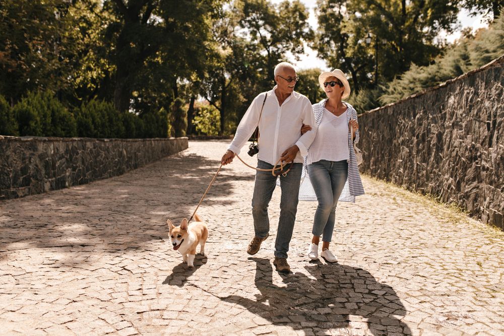 Why Walking Should Be Part of Your Dog’s Daily Routine