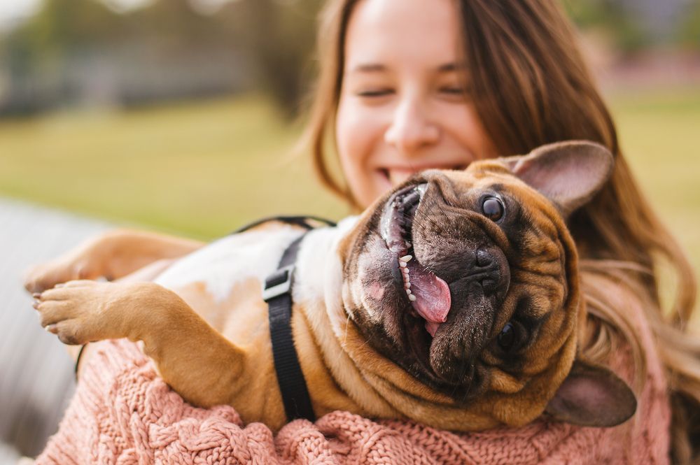 Pet Poison Symptoms: 5 Signs to Look For