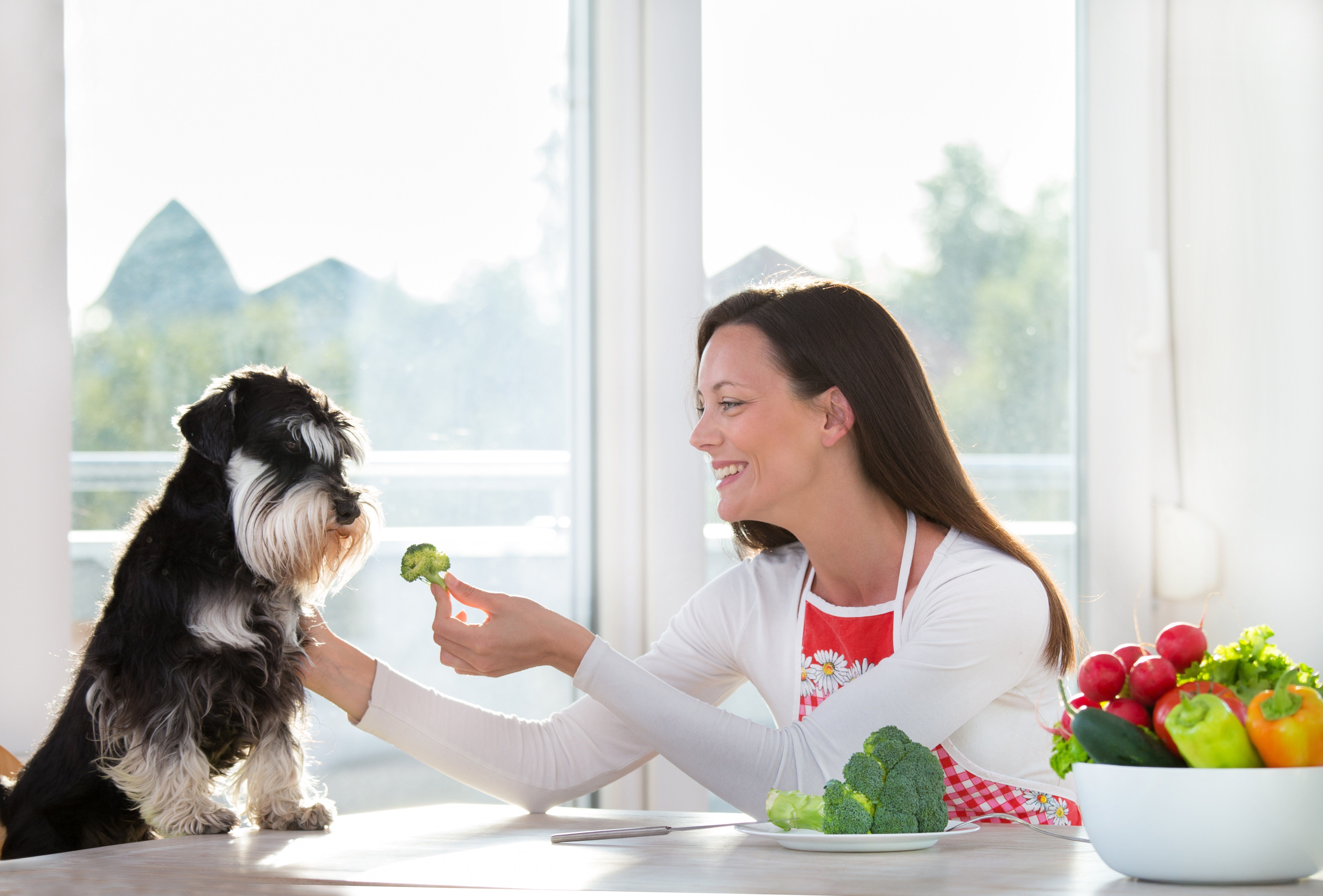 What Foods Make Your Dog Live Longer?
