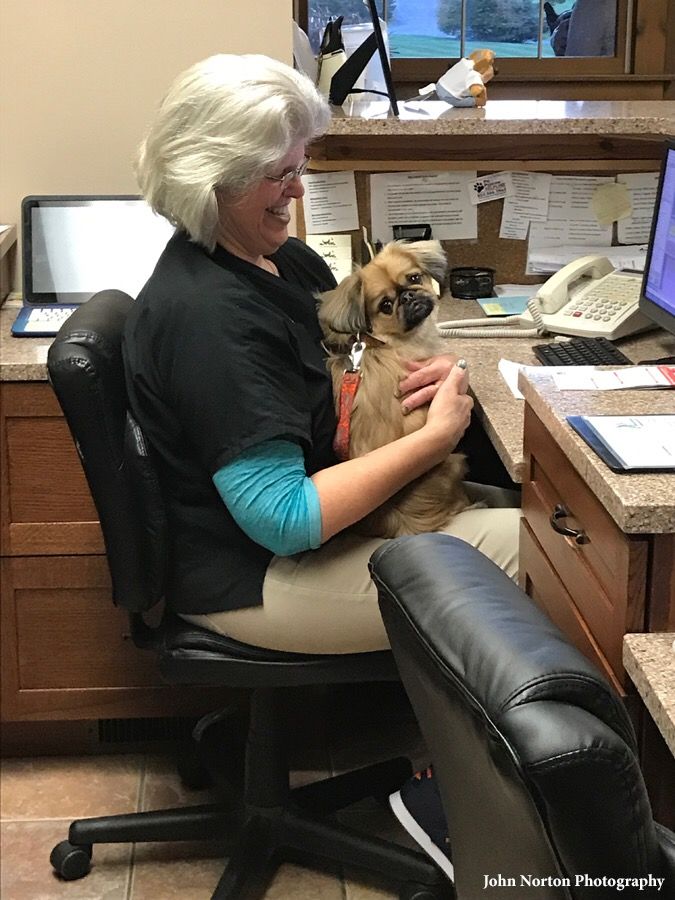 Interesting Links | The Animal Hospital, Veterinarian in Slingerlands, NY Interesting Links | The Animal Hospital, Veterinarian in Slingerlands, NY
