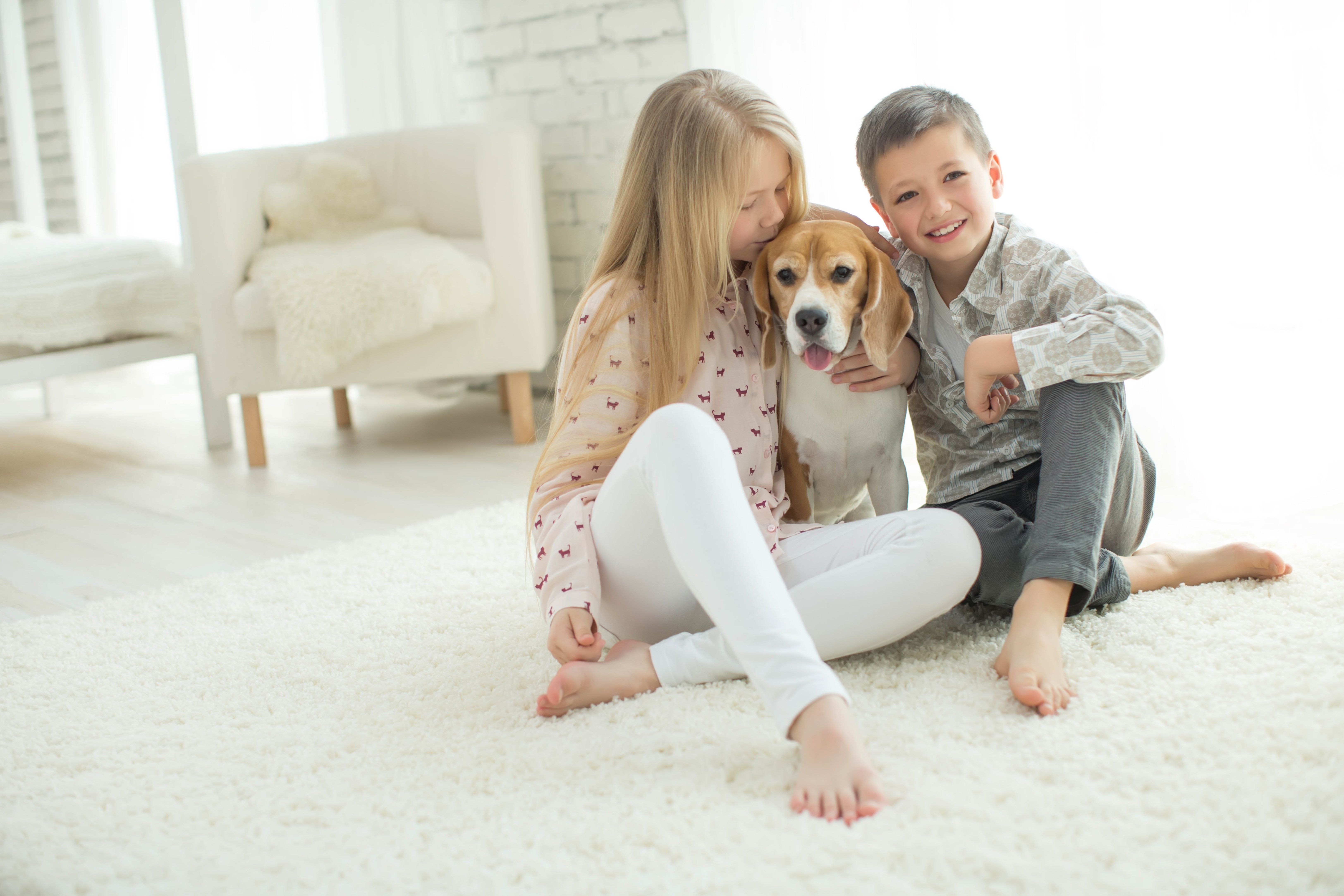 Bringing Home a New Pet: 10 Tips for Proper Care