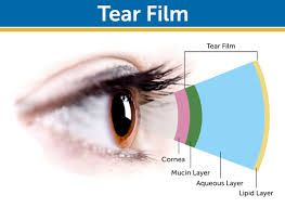 Dry Eye: The Anatomy of Your Tears
