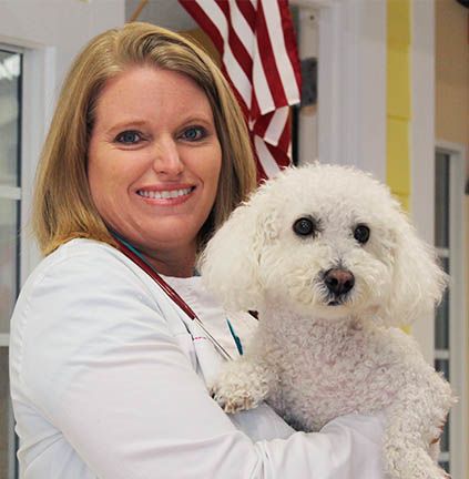 Orchid Spring Animal Hospital Doctors