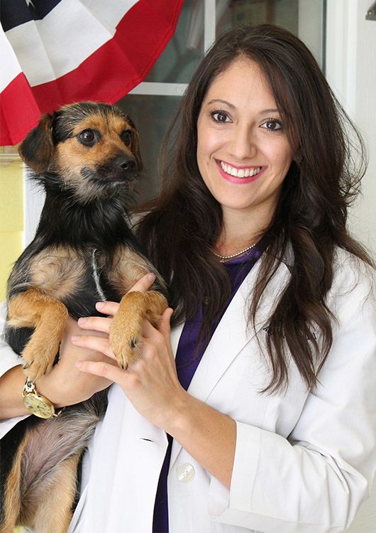 Orchid Spring Animal Hospital Doctors