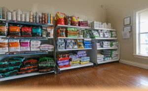 Orchid Spring Animal Hospital
