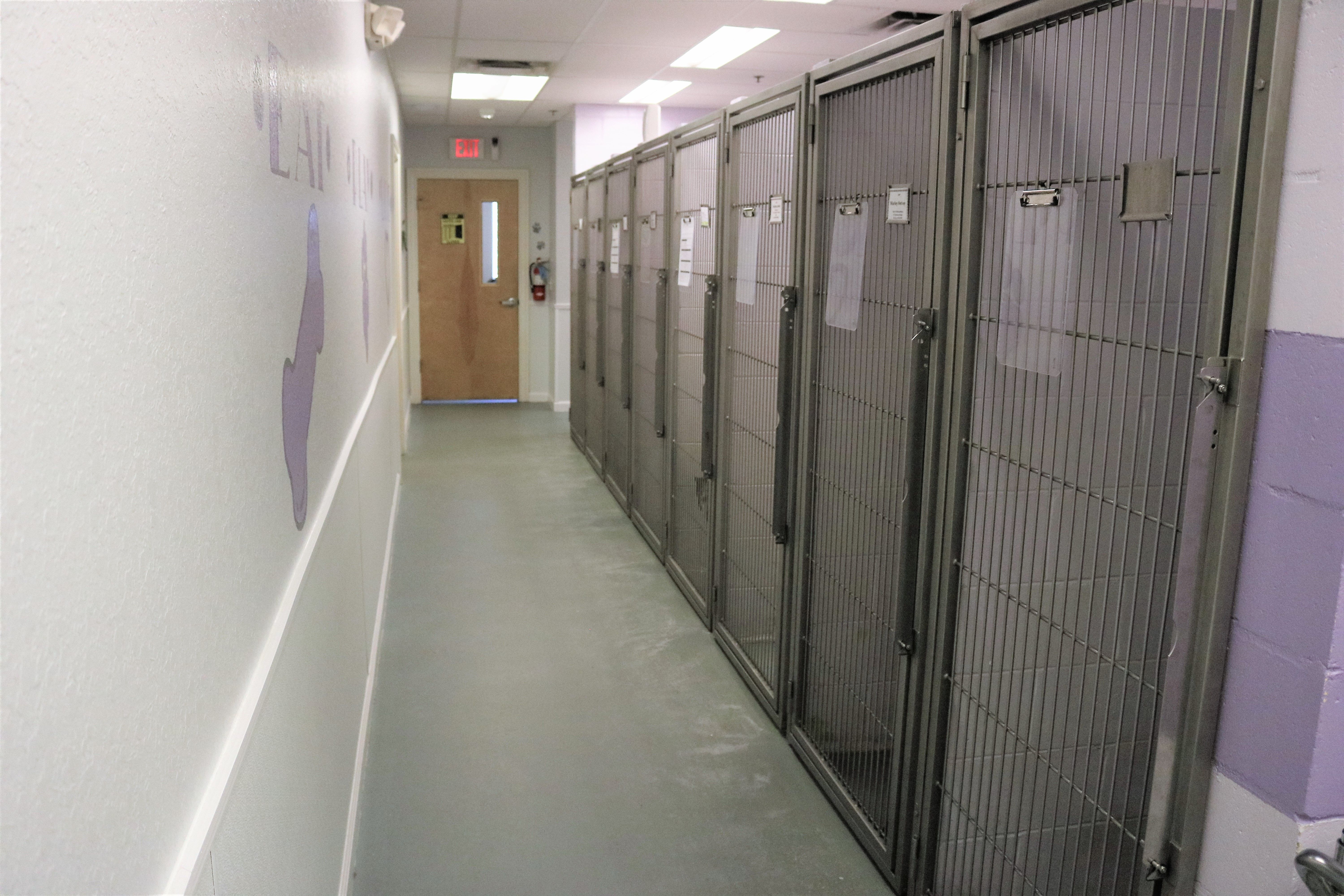 Arrowview Animal Hospital Boarding Get More Anythink's