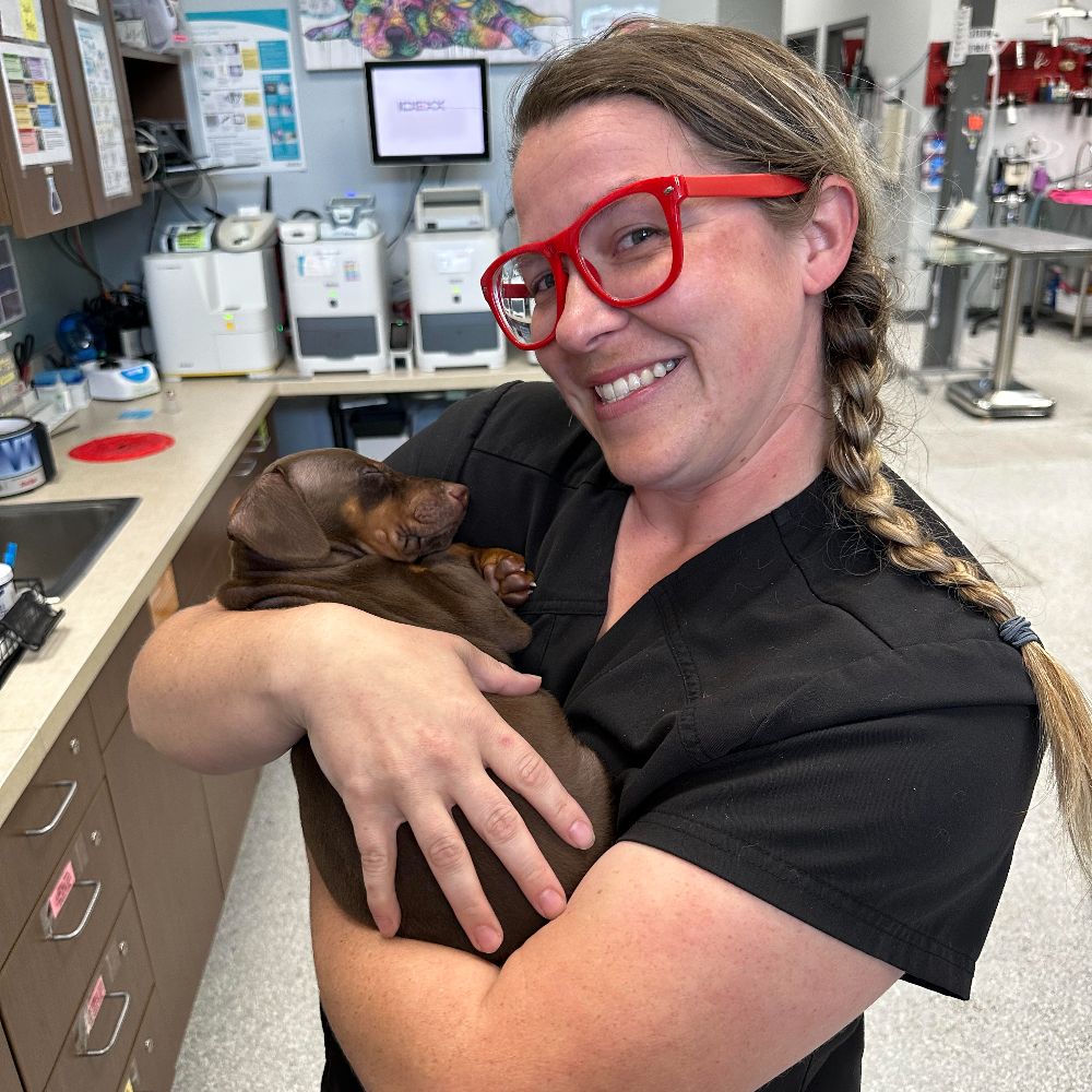 Meet Our Vets in Rockwall, TX Rockwall Urgent Vet