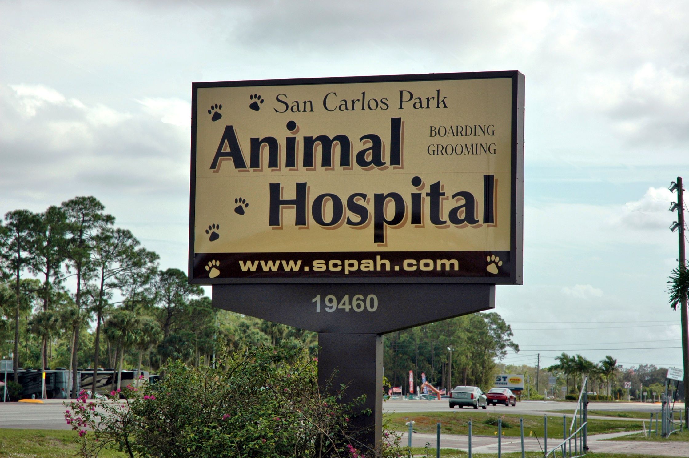 animal hospital of high park