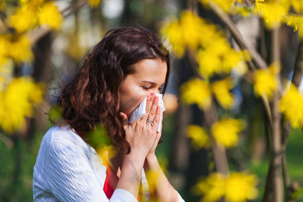 Winter Blues for Your Eyes: Navigating Seasonal Allergies