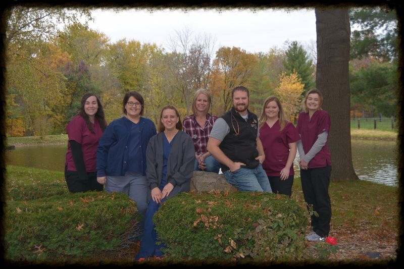 veterinary services