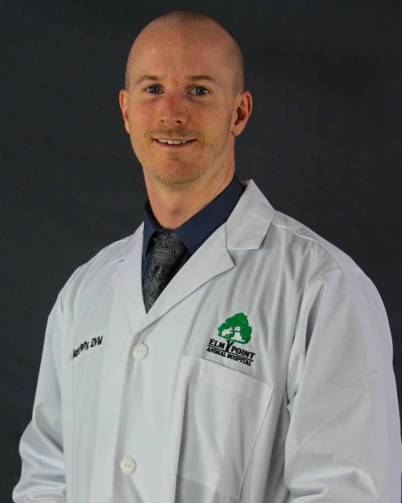 Dr. Mark Petty