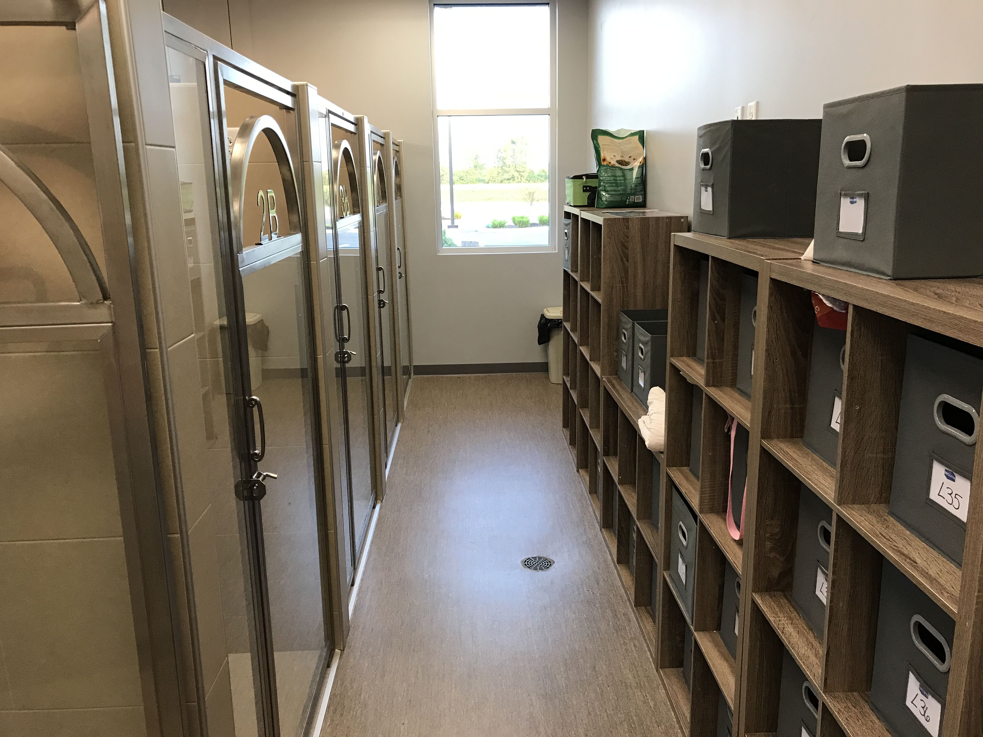 Pet Boarding Services in St. Charles MO