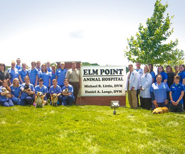 About Elm Point Animal Hospital in St. Charles MO