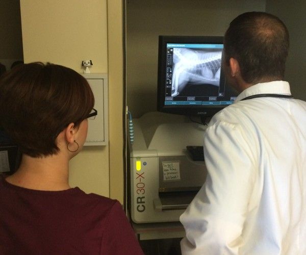 Elm Point Animal Hospital offers the latest technology in healthcare imaging for your pet.