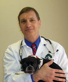 Dr. Daniel Lange
