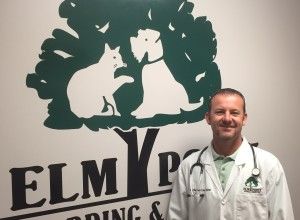 Dr. Michael Little