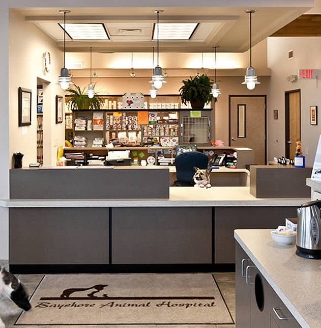 40 Best Photos Family Pet Animal Hospital Email / Murrieta Family Pet