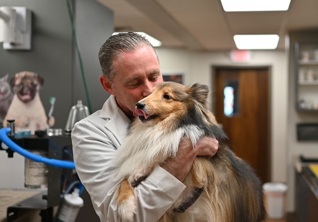 Veterinarians Sarasota, FL - Vet Hospital | Forest Lakes Animal Clinic